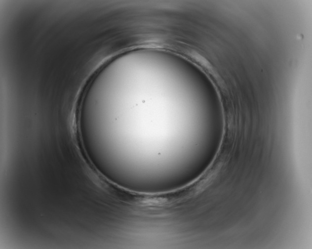 X0000088891466200706081239