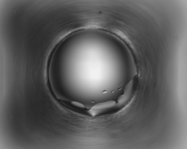 X0000088891469200706081239