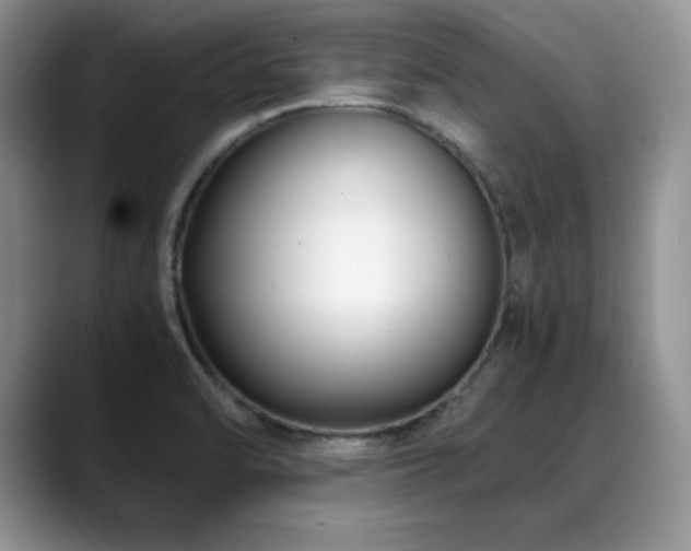 X0000088891470200706081239