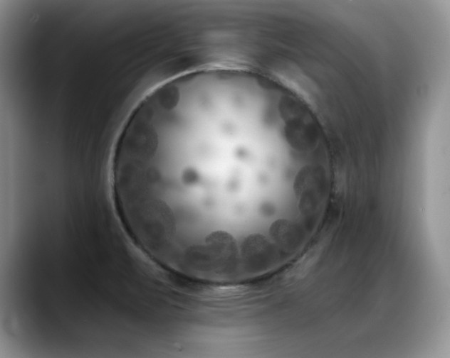 X0000088891471200706081239