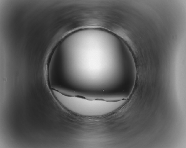 X0000088891472200706081239