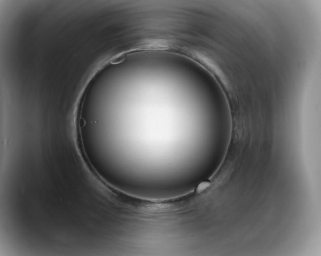 X0000088891475200706081239