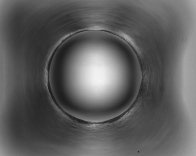 X0000088891476200706081239