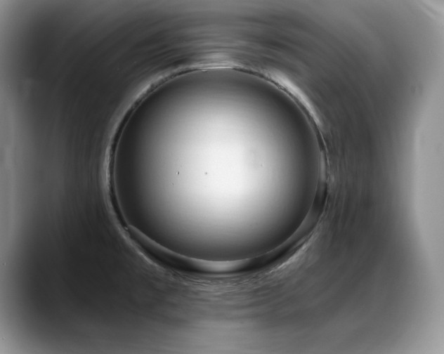 X0000088891477200706081239