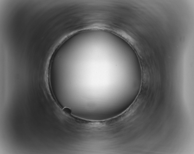 X0000088891478200706081239