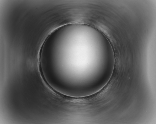 X0000088891479200706081239