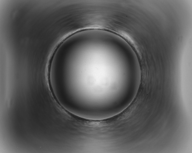 X0000088891480200706081239