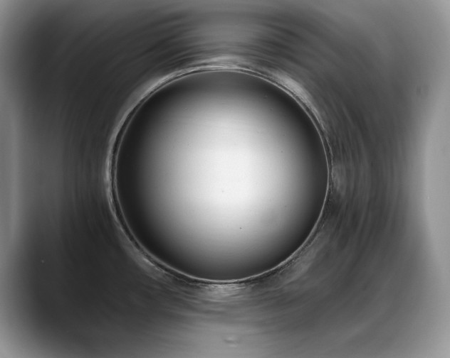 X0000088891482200706081239