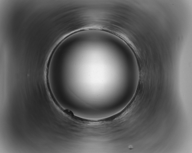 X0000088891484200706081239