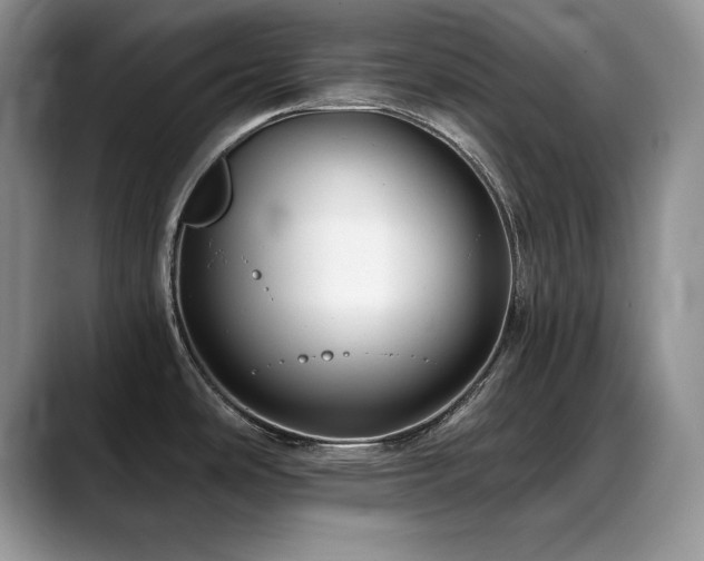 X0000088891486200706081239