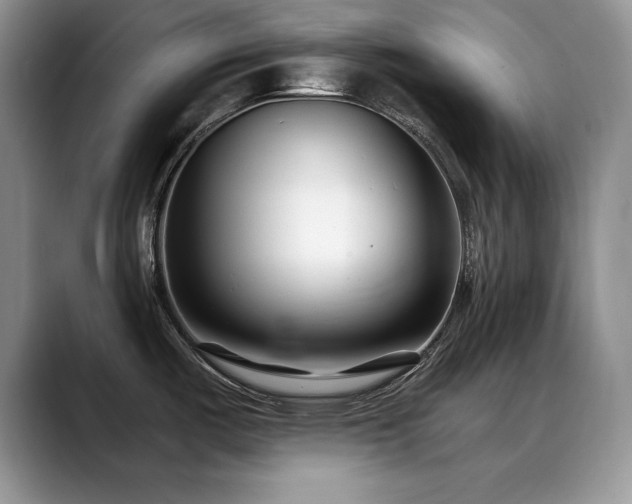 X0000088891487200706081239