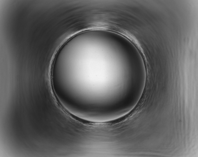 X0000088891488200706081239