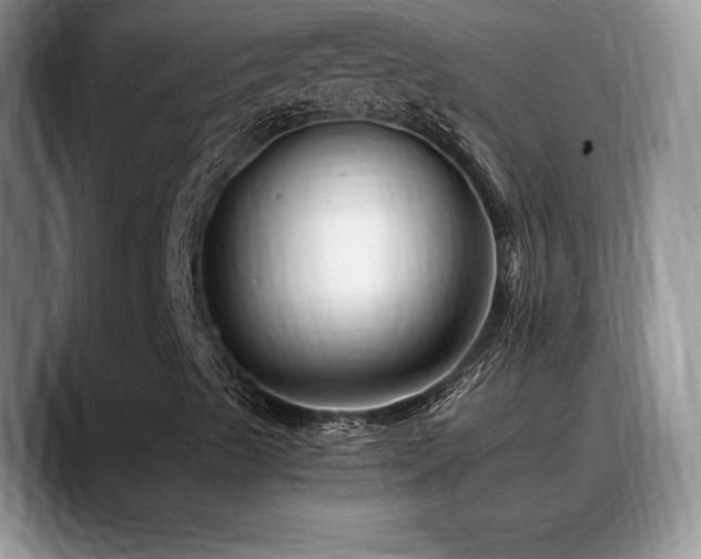 X0000088891489200706081238