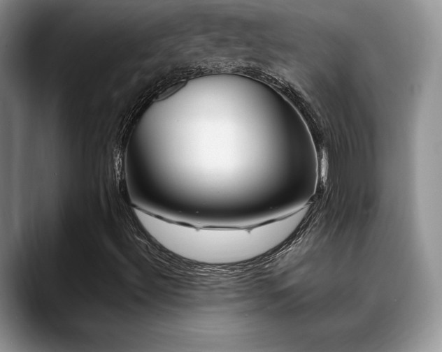 X0000088891492200706081238