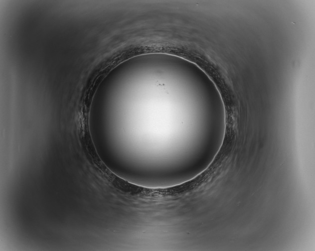 X0000088891493200706081238