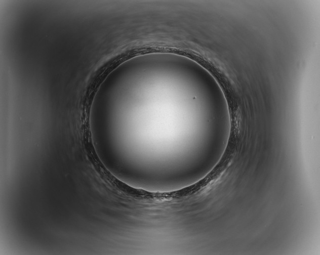 X0000088891494200706081238