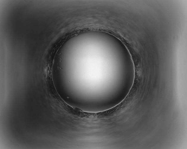 X0000088891495200706081238