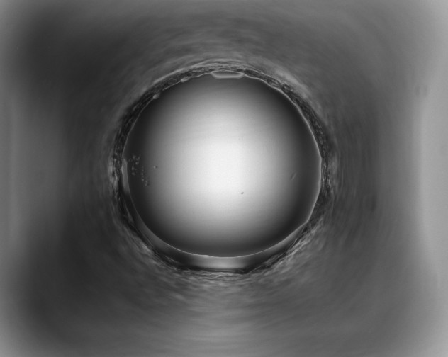 X0000088891496200706081238