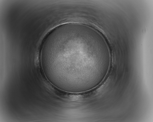 X0000088891498200706081238