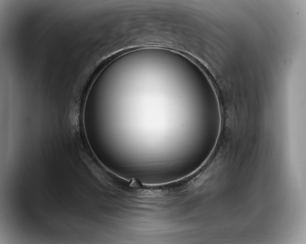 X0000088891499200706081238
