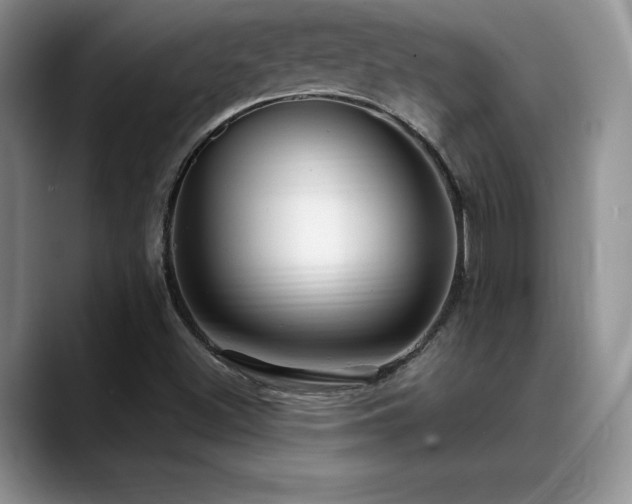 X0000088891500200706081238