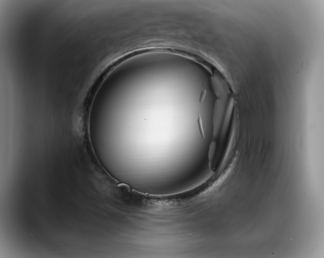 X0000088891501200706081238