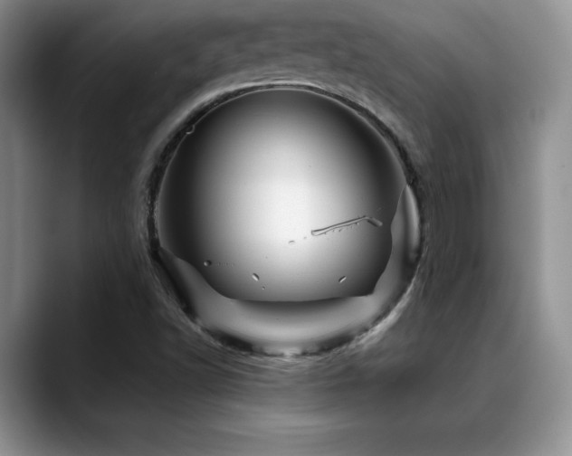 X0000088891502200706081238