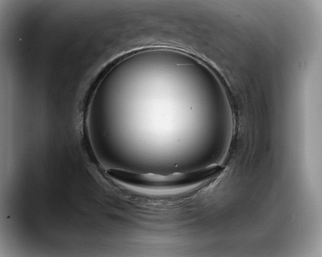 X0000088891503200706081238