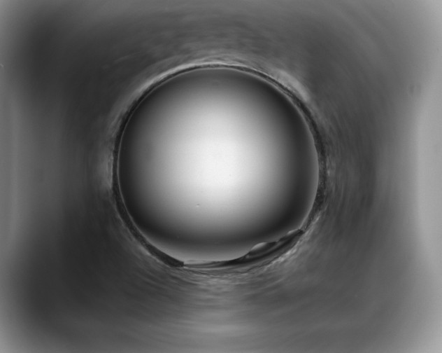 X0000088891504200706081238
