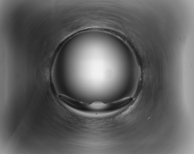 X0000088891505200706081238