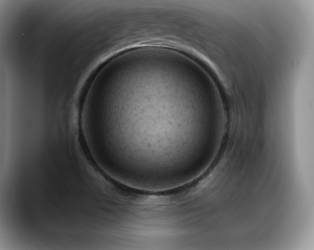 X0000088891506200706081238