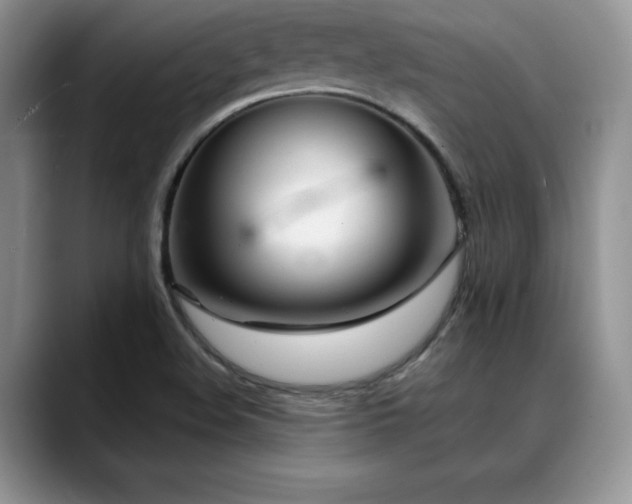 X0000088891508200706081238