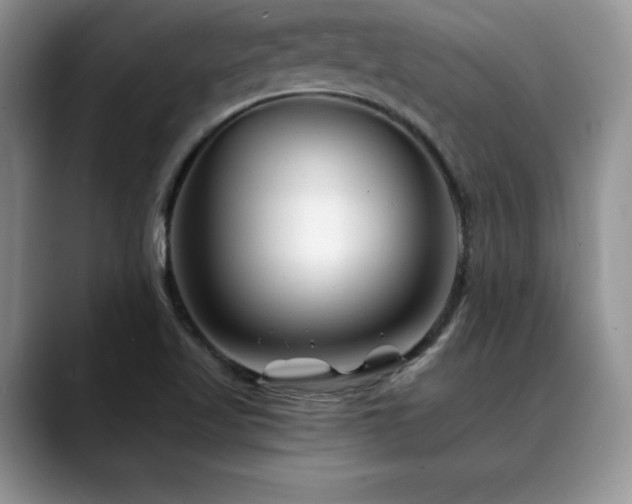 X0000088891509200706081238