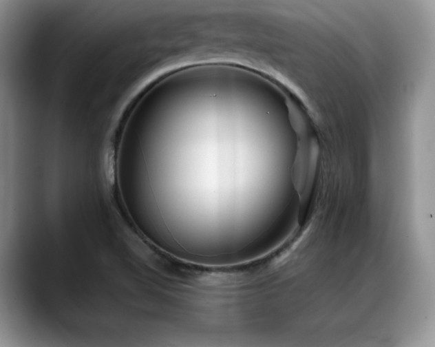 X0000088891510200706081238