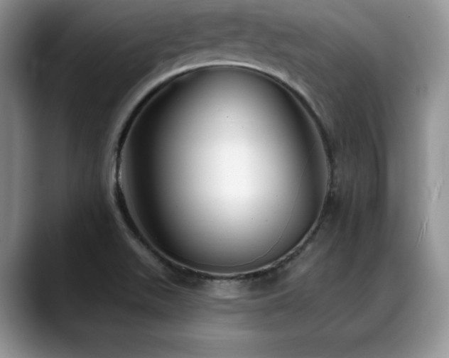 X0000088891511200706081238