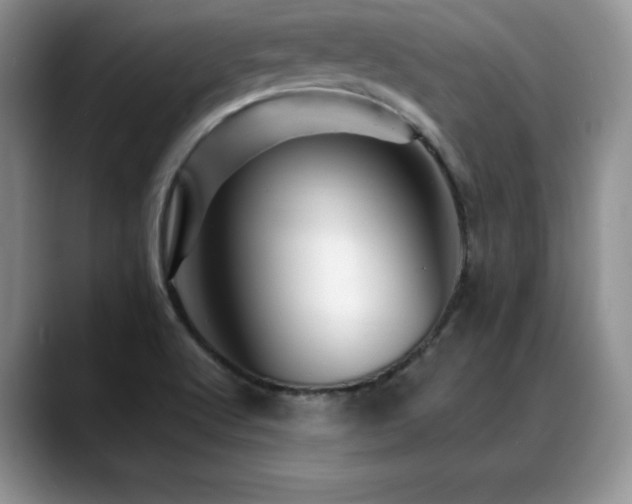 X0000088891512200706081239