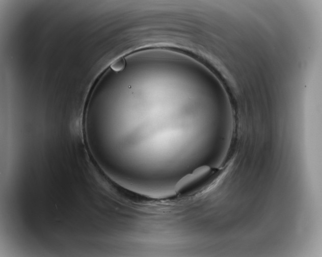 X0000088891513200706081239
