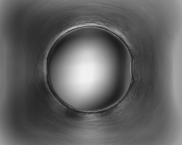 X0000088891516200706081239