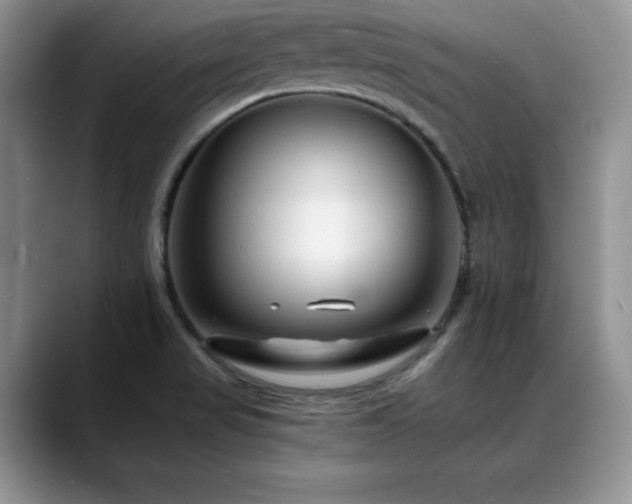 X0000088891517200706081239