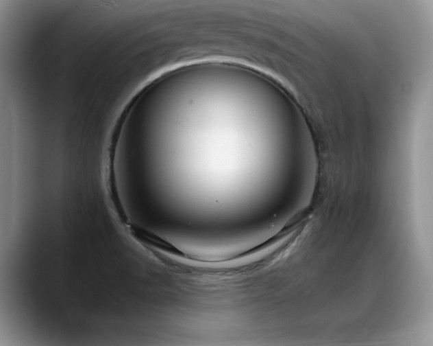 X0000088891518200706081239