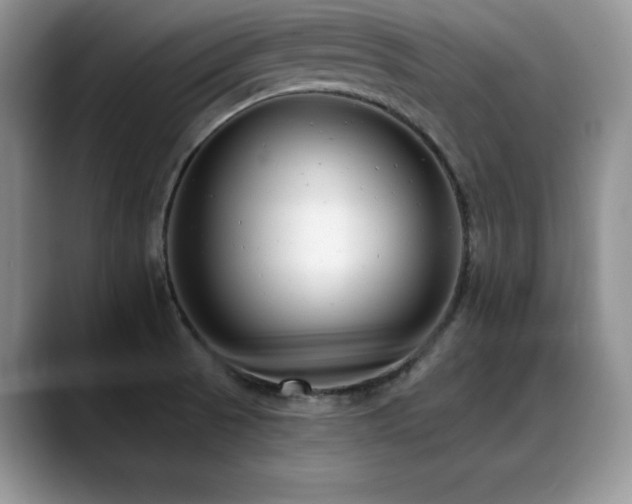 X0000088891521200706081239