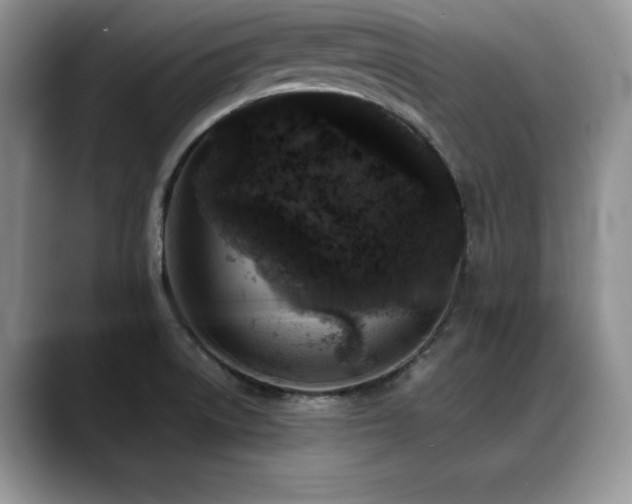 X0000088891522200706081239