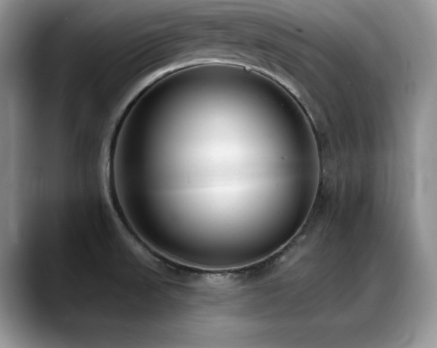 X0000088891523200706081239