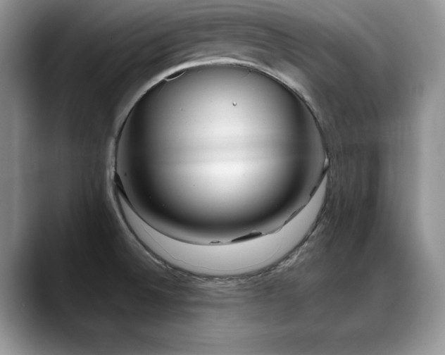 X0000088891524200706081239