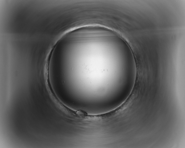 X0000088891526200706081239