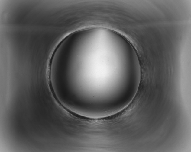 X0000088891527200706081239