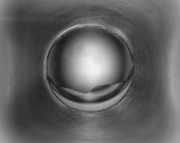 X0000088891528200706081239