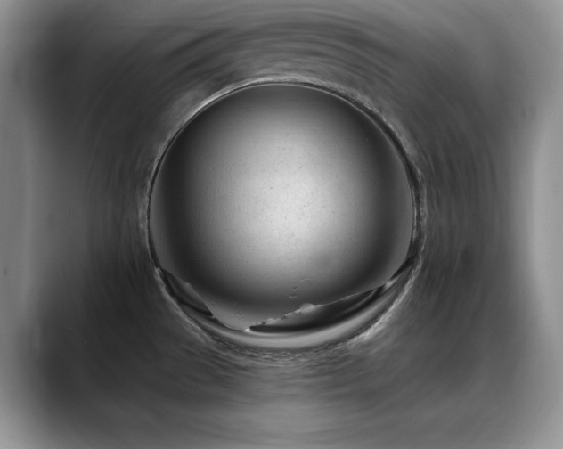 X0000088891529200706081239