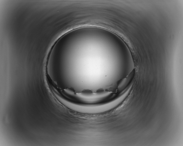 X0000088891530200706081239