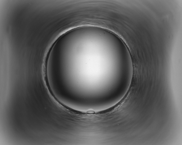X0000088891531200706081239
